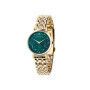 Ladies' Watch Pierre Cardin CCM.0552 (Ø 32 mm)